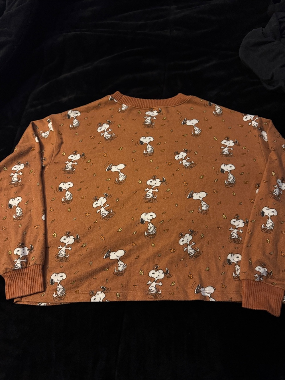 American Eagle Outfitters Brown Snoopy Pajama Set - Picture 5 of 8